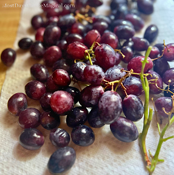 Freshly washed purple grapes are waiting to be put on bamboo fruit skewers.